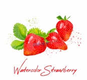 水彩绘美味草莓矢量素材