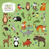 手绘森林动物插画设计矢量