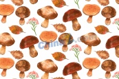 手工彩绘水彩蘑菇图案