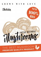 新鲜蘑菇矢量插图海报设计