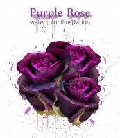 水彩紫色玫瑰花矢量素材
