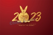 2023兔年新春矢量海报设计
