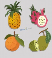 彩色水果插画合集矢量素材