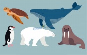 水生动物物种卡通素描插画矢量