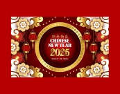 奢华2025春节新年快乐矢量海报