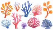 彩色海洋珊瑚礁合集矢量素材