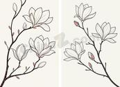 极简线条玉兰花卉插画矢量素材