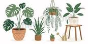 北欧简约室内绿植合集矢量素材