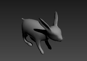 小白兔动物模型