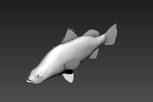 鱼3D模型设计