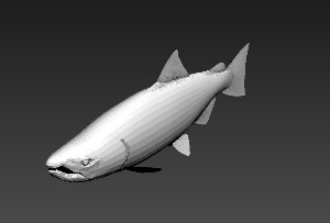 鱼模型设计
