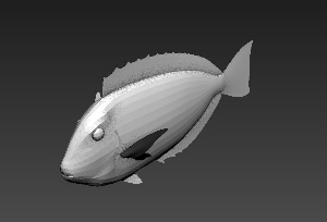 鱼3D模型效果图