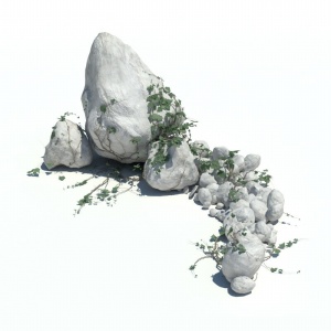 植物石头3D模型