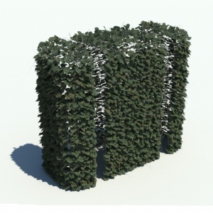室外藤蔓植物3D模型