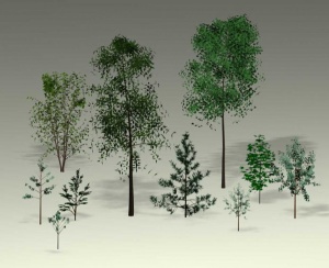 小叶子树木3D模型
