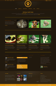 宠物相关网站html5模板