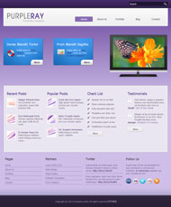 紫色色彩搭配网页模板