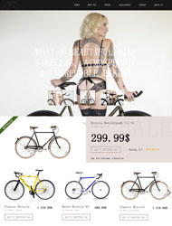 自行车网上销售模板下载