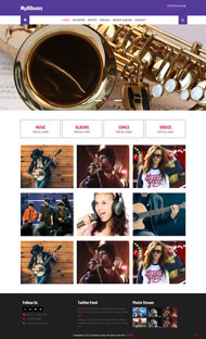 流行音乐演唱会网站模板