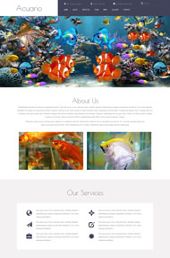 金鱼鱼类养殖网站模板