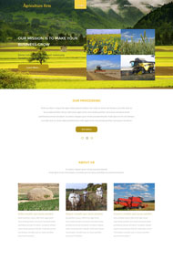 农产品公司网站模板