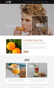 水果果汁餐饮网站模板