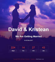 结婚婚礼倒计时网站模板