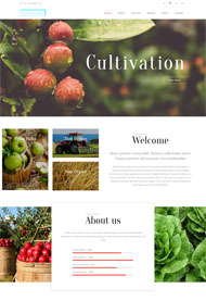 农家乐有机蔬菜网页模板