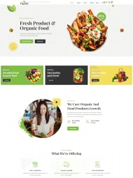健康有机水果蔬菜在线商城网站模板