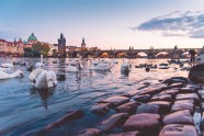 布拉格城市河流图片
