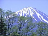 春天富士山图片