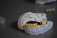 口腔牙齿模型图片