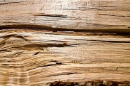 木头纹理背景图片