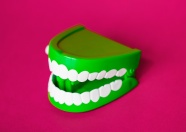 绿色牙齿模型图片