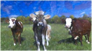 奶牛绘画图片