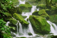 绿色青苔瀑布水流图片
