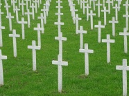 白色十字架公墓图片