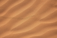 沙漠波纹纹理背景图片