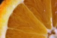 黄色新鲜橙子切片图片