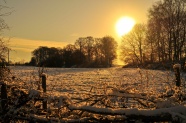 冬天雪地日出图片