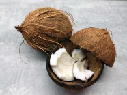 椰子里的椰果图片