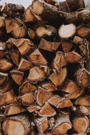 一堆木材木头图片