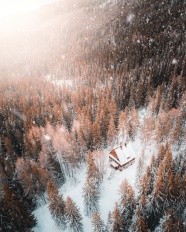 冬季树林小木屋雪景图片