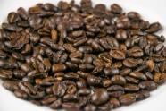 咖啡豆豆类图片
