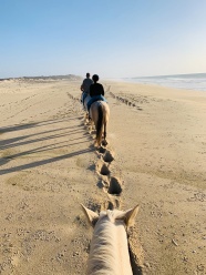 沙滩上骑马的人图片