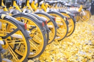 黄色共享自行车图片