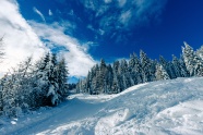 寒冬森林雪山景观图片
