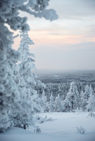 冬季唯美风景图片