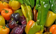 营养蔬菜辣椒图片