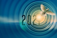 2021年和平鸽背景图片